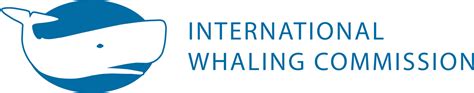 iwc whaling laws|is whaling legal today.